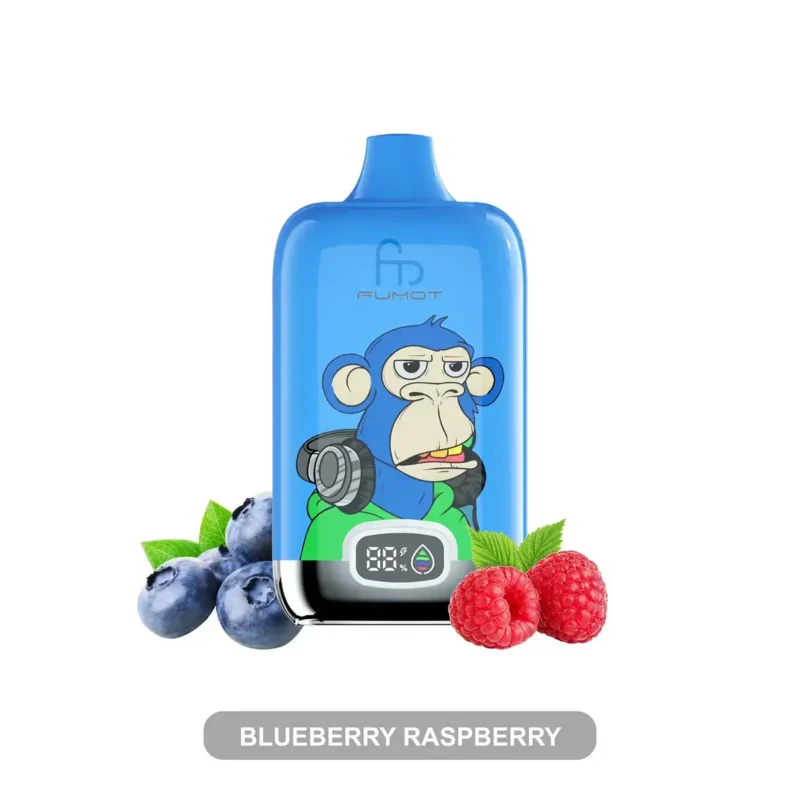 Fumot Digital Box 12000 Blueberry Raspberry Produktfoto