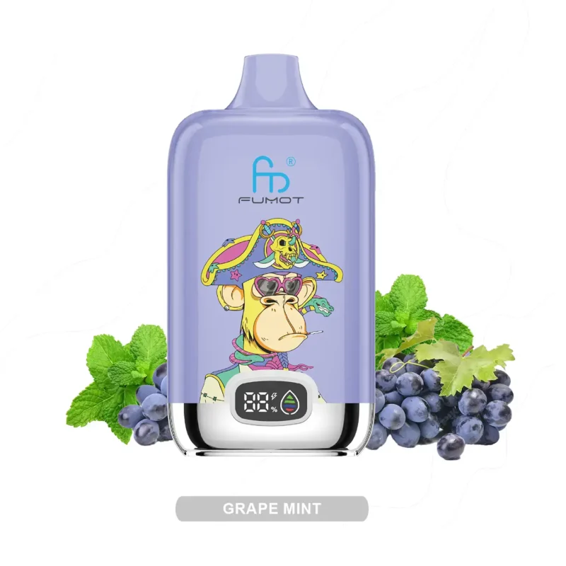 Fumot Digital Box 12000 Grape Mint Produktfoto