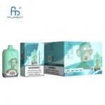 Fumot Digital Box 12000 Watermelon Ice Verpackungsbild